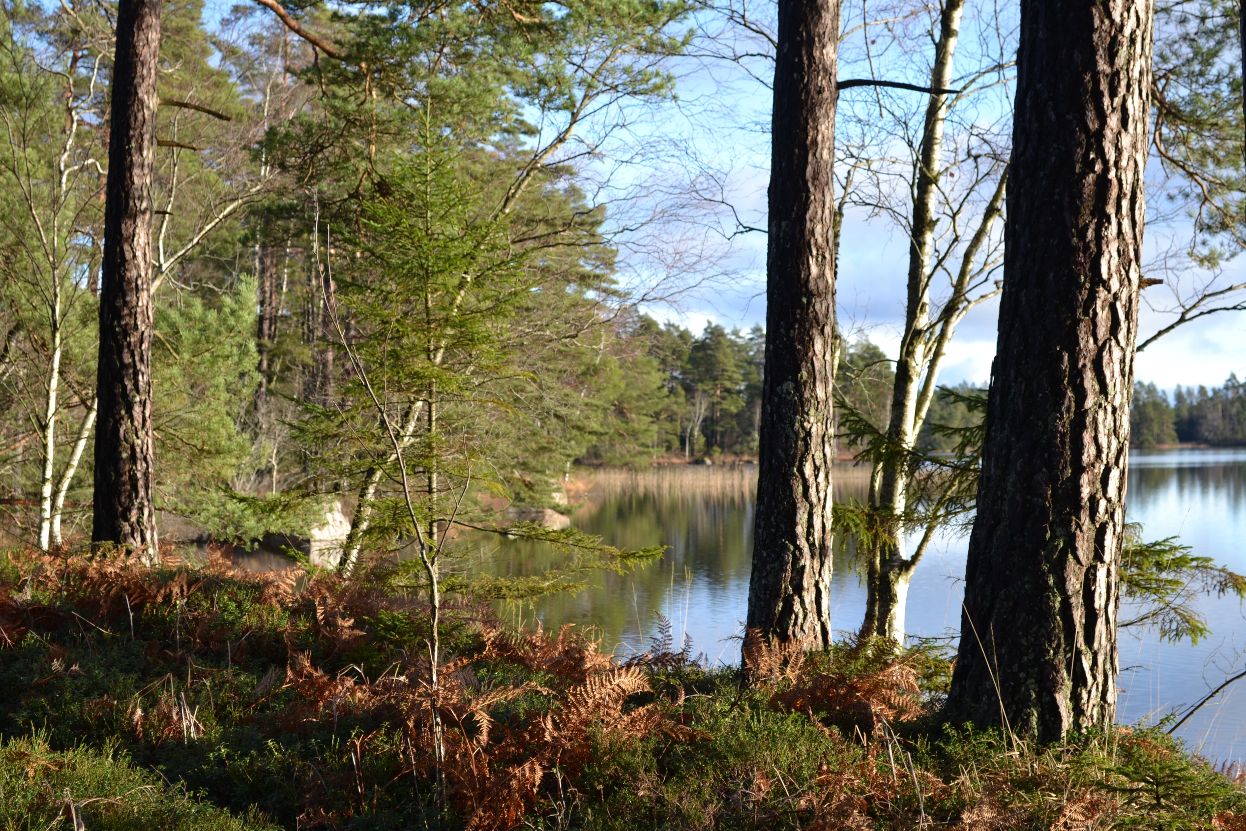 34 Hässleberg