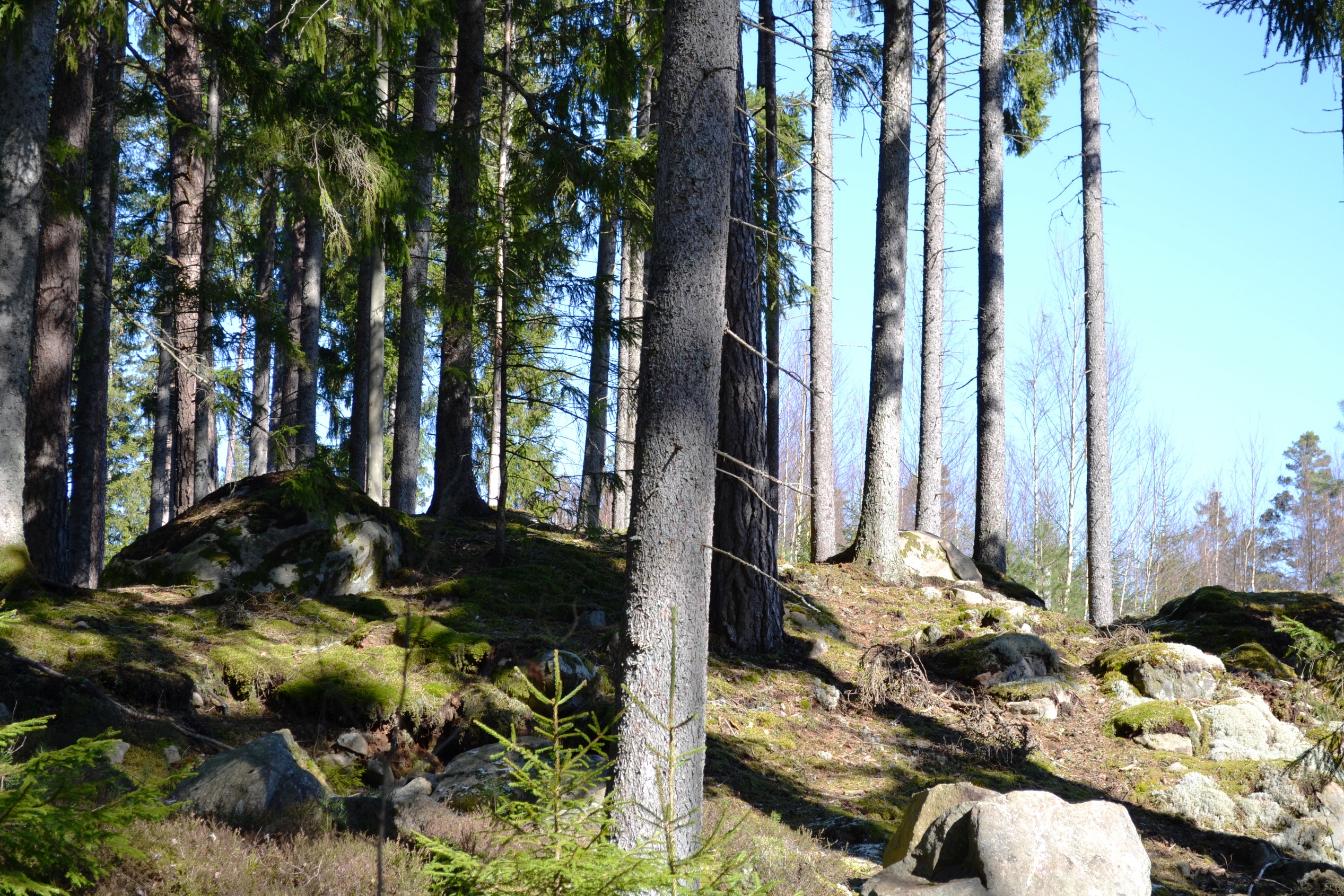 7 Kullsbo