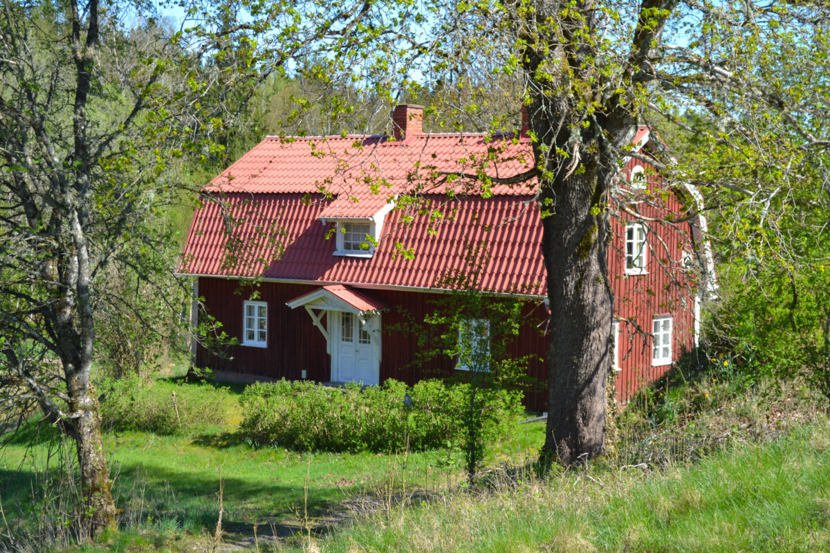 fastigheter-skogsmark