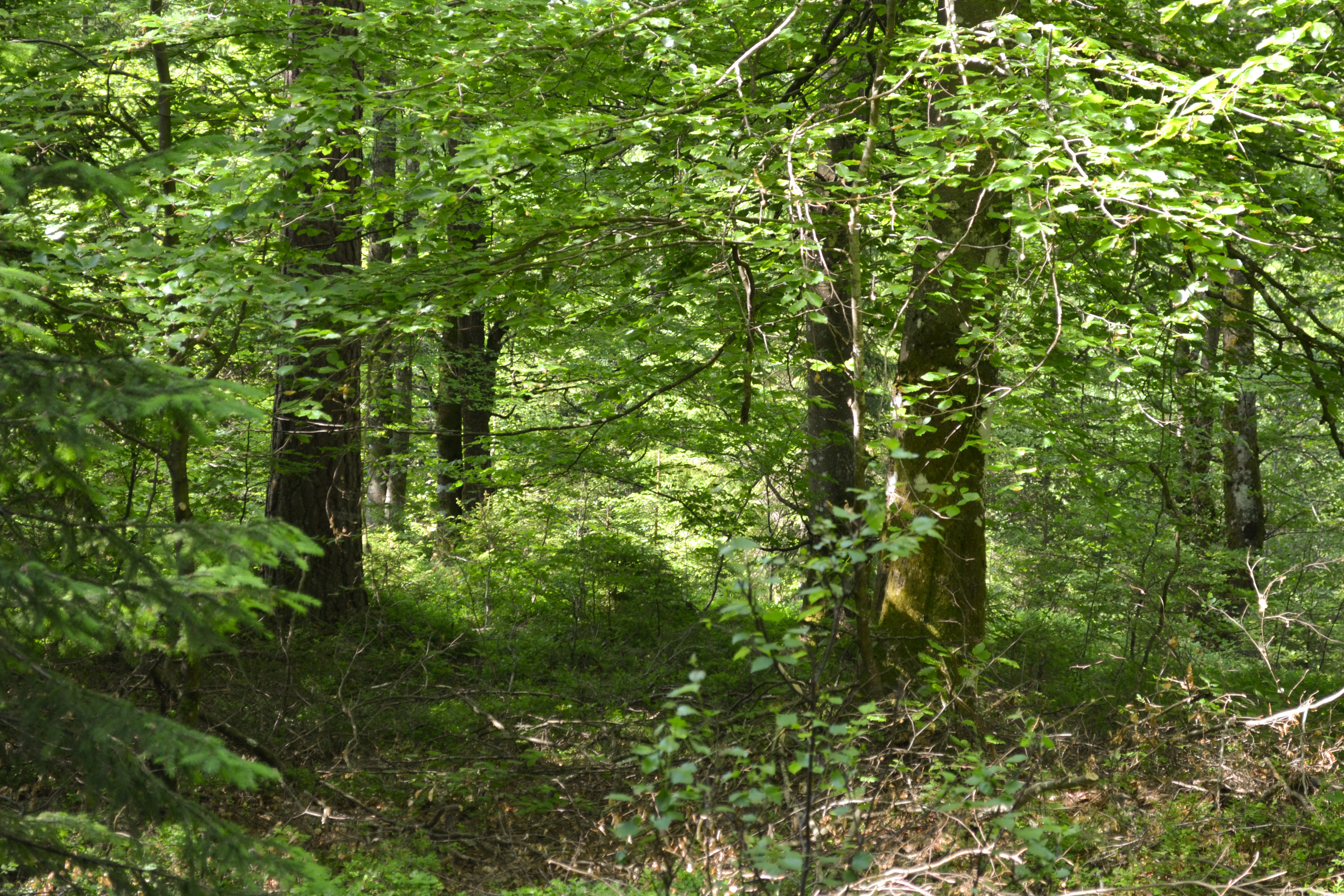 DSC_0080_edited