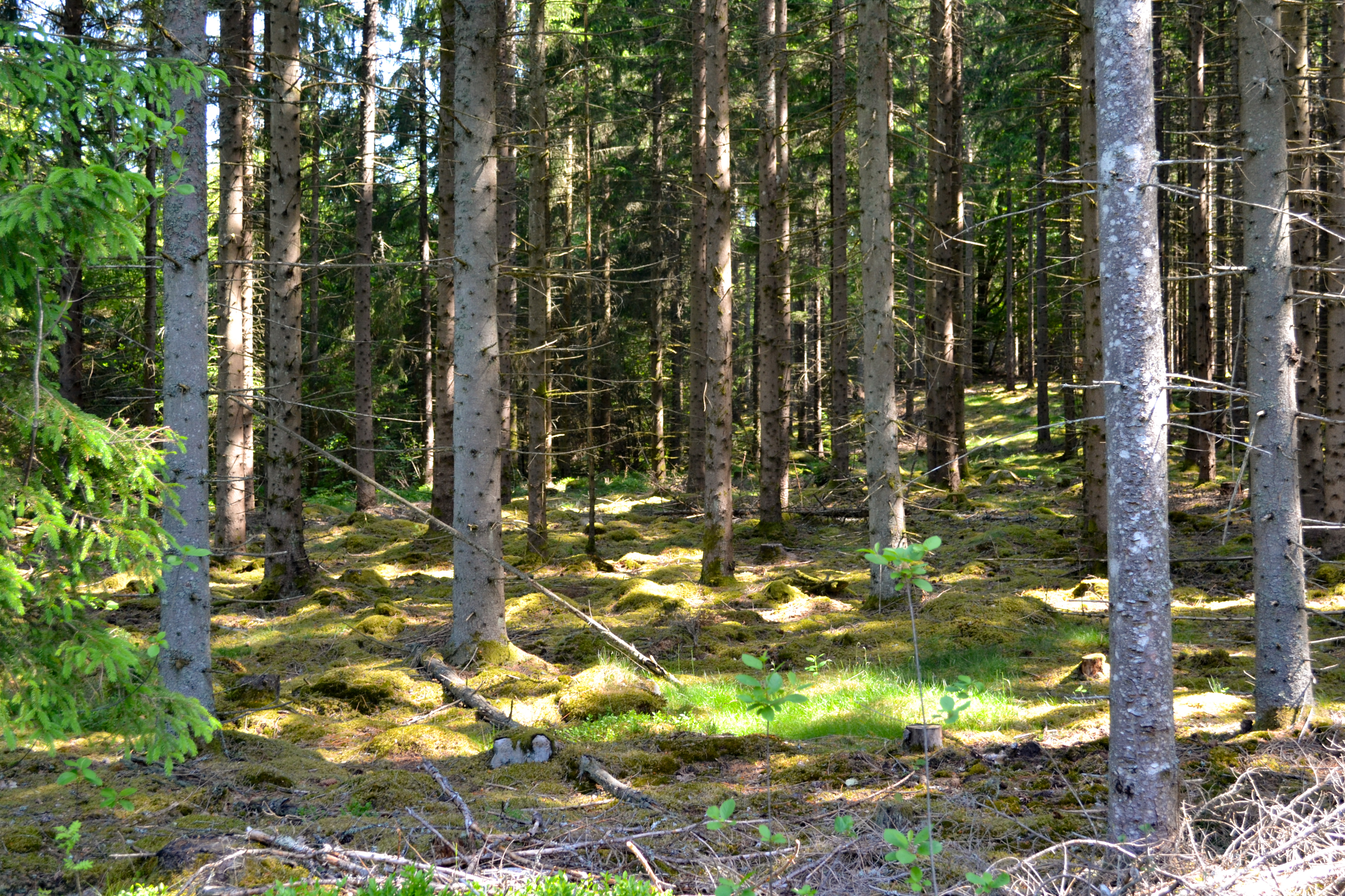 DSC_0091_edited