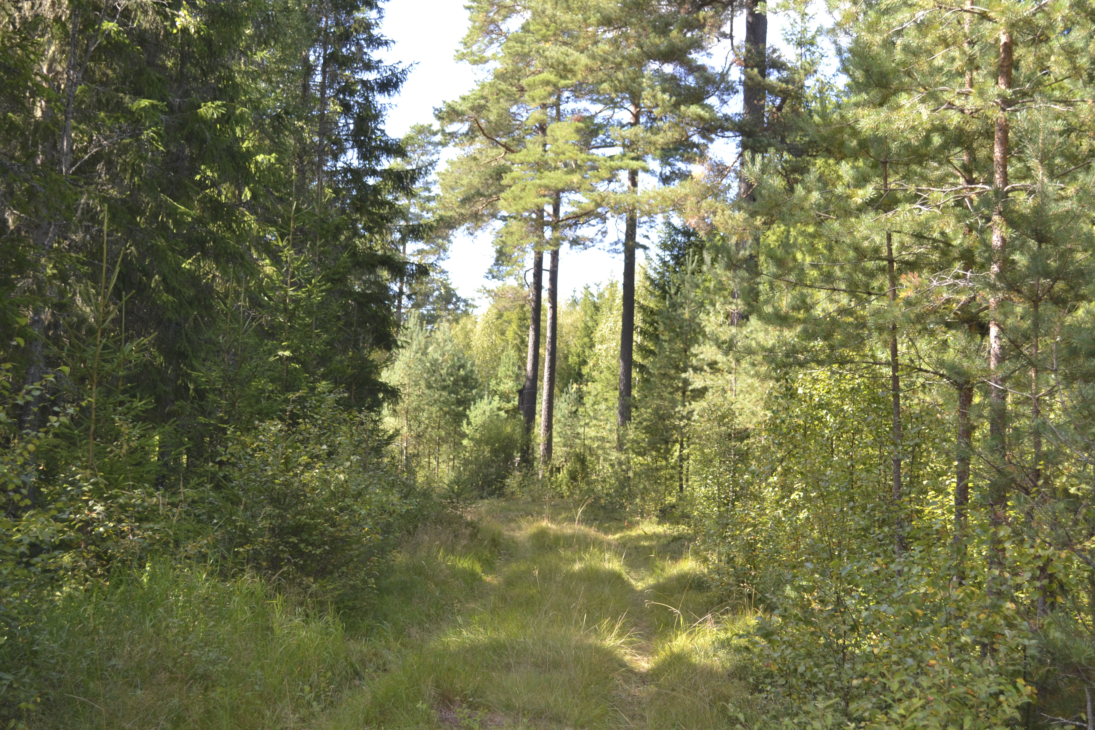 DSC_0096_edited