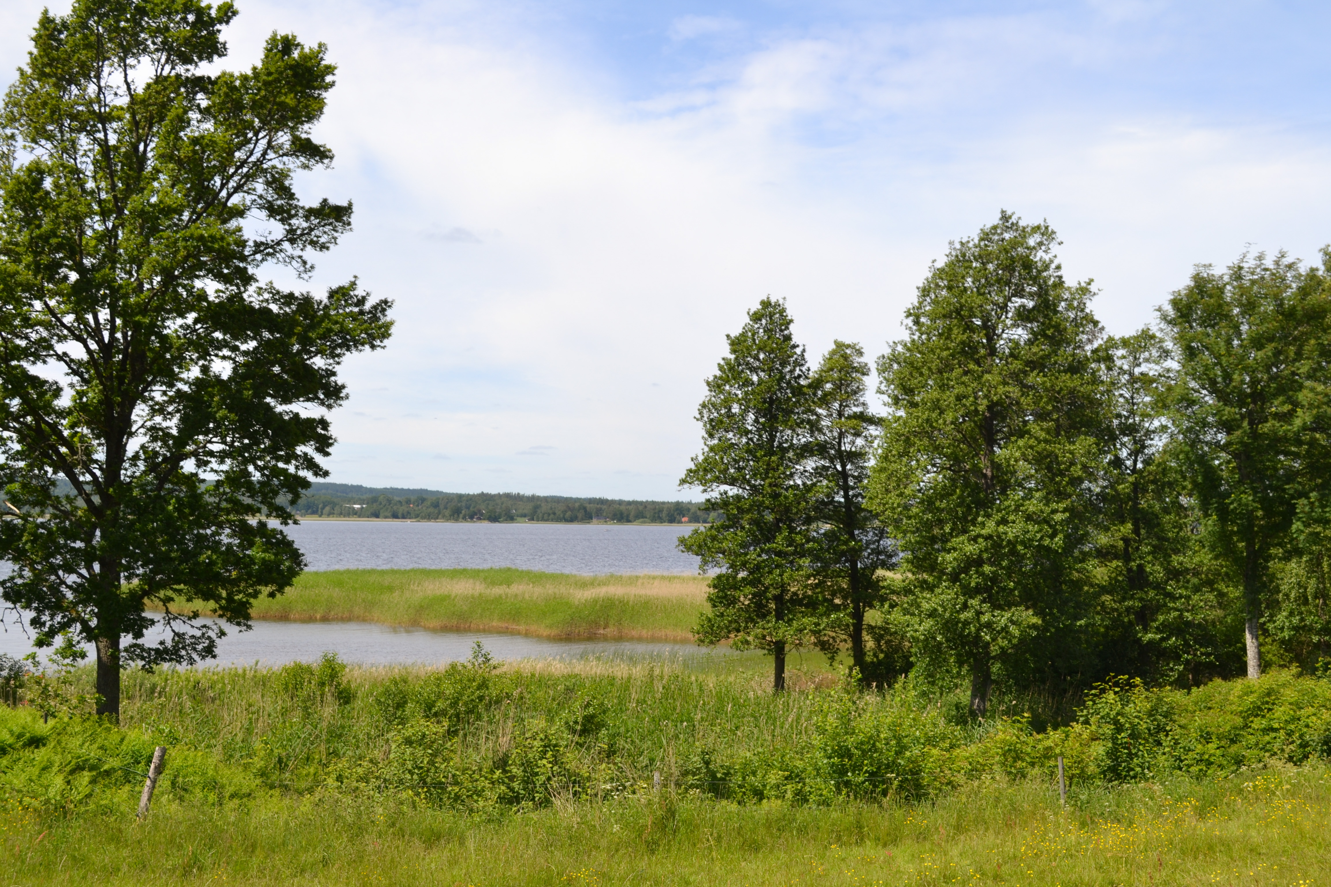 DSC_0099_edited