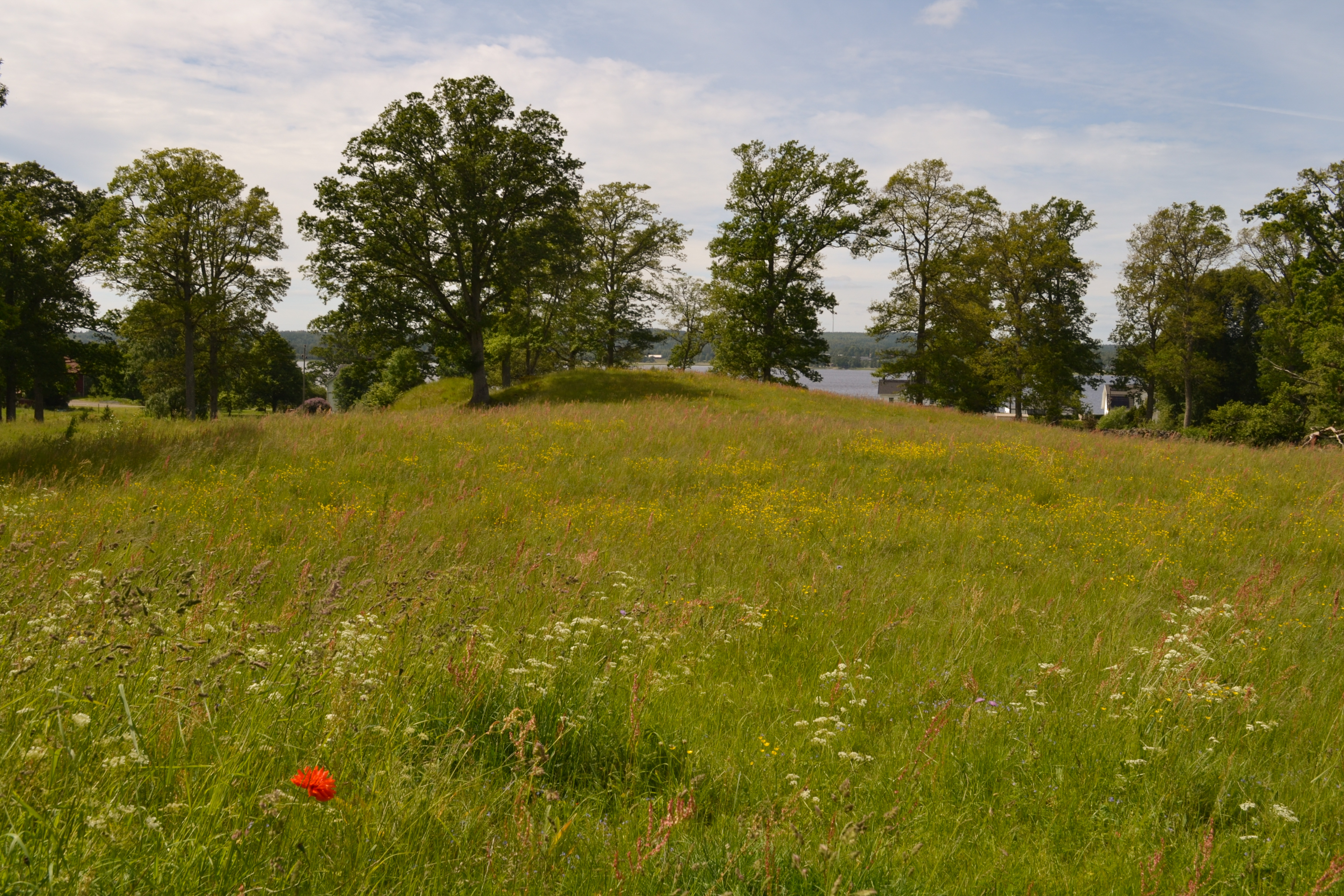 DSC_0136_edited