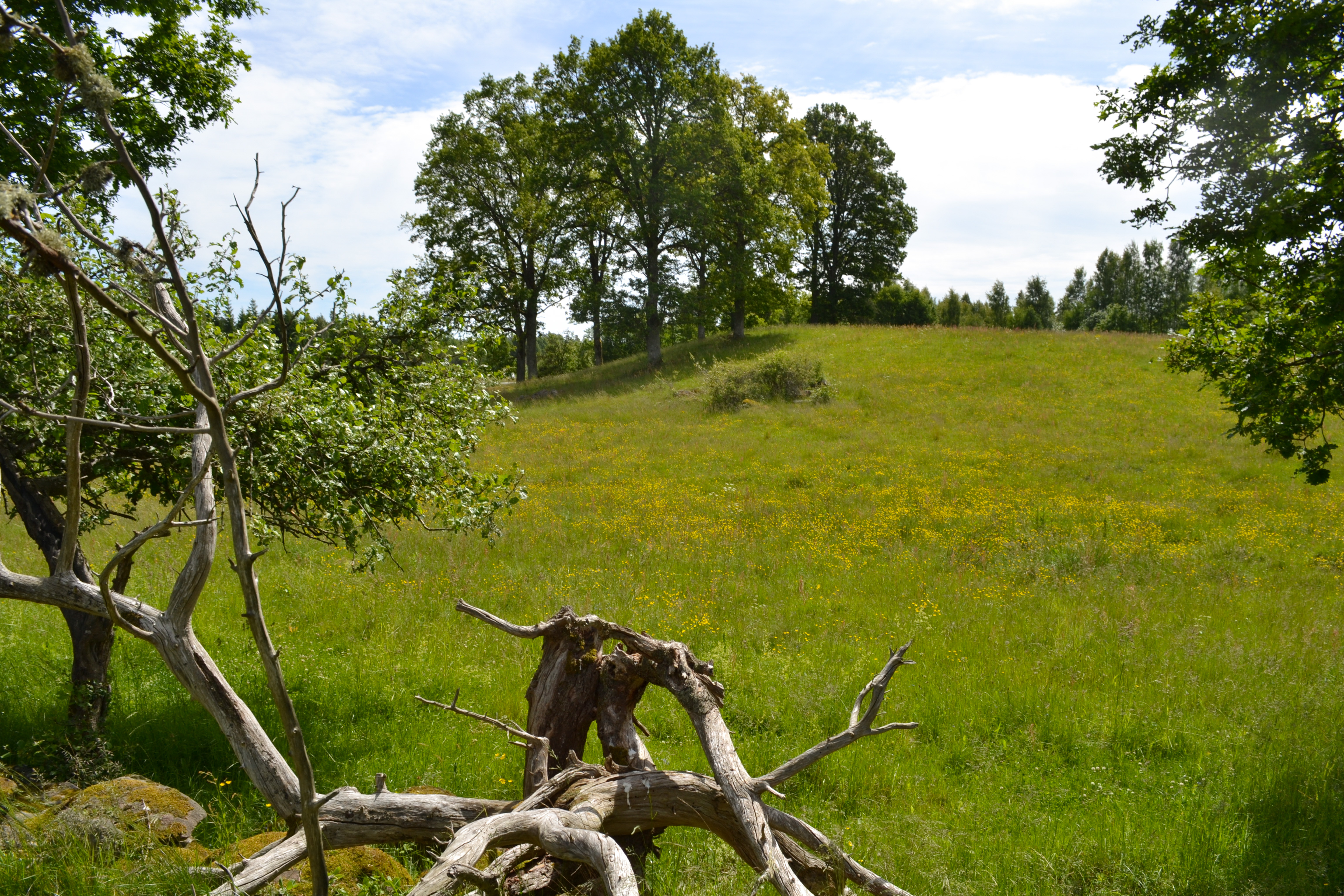 DSC_0139_edited