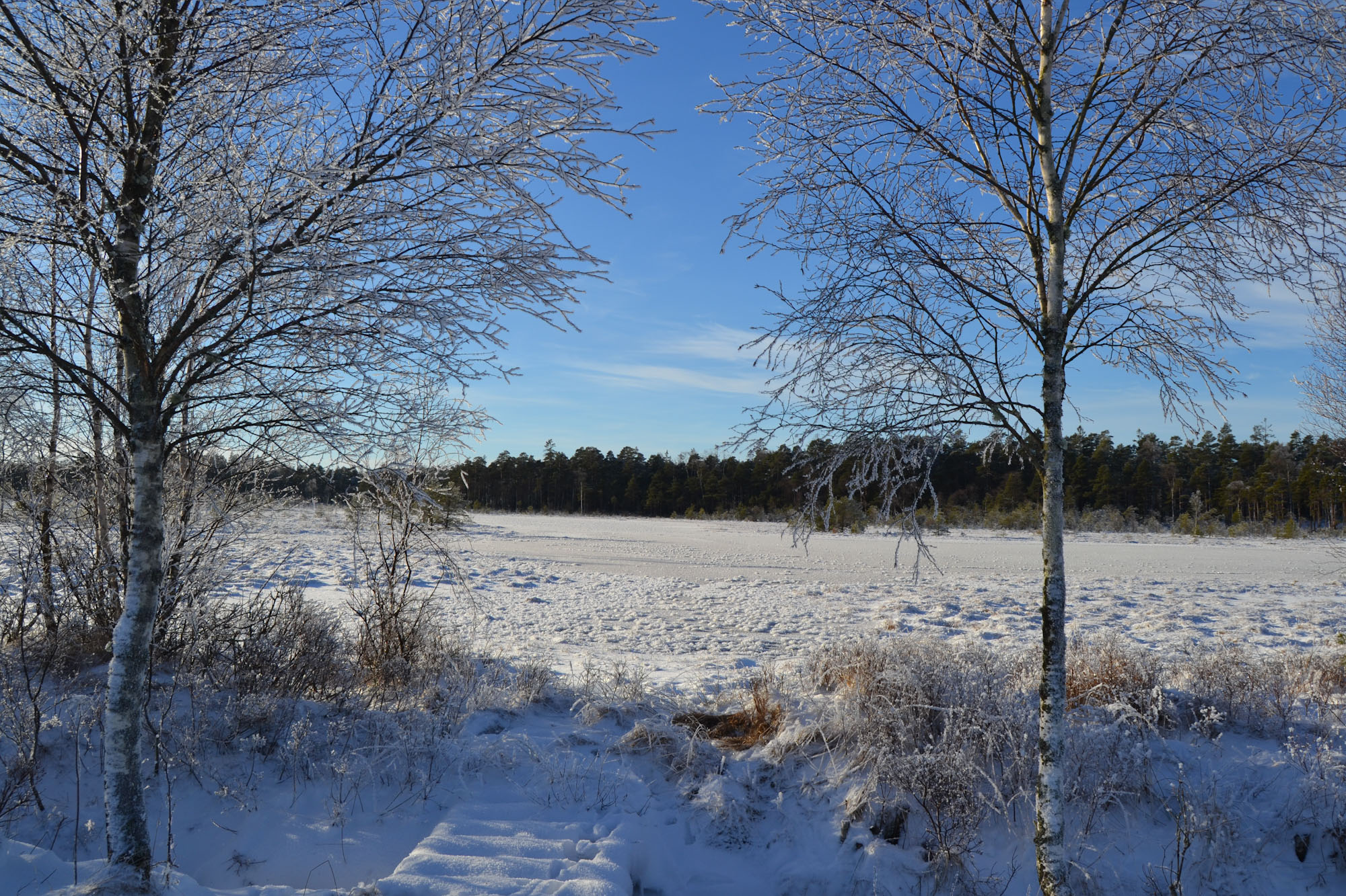 DSC_0272_edited