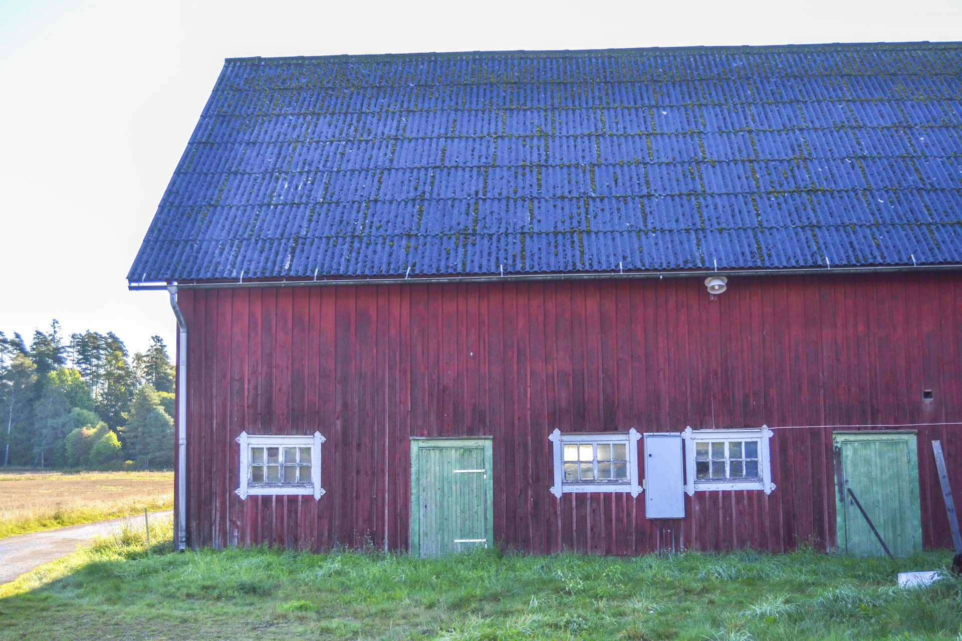 DSC_0455_edited