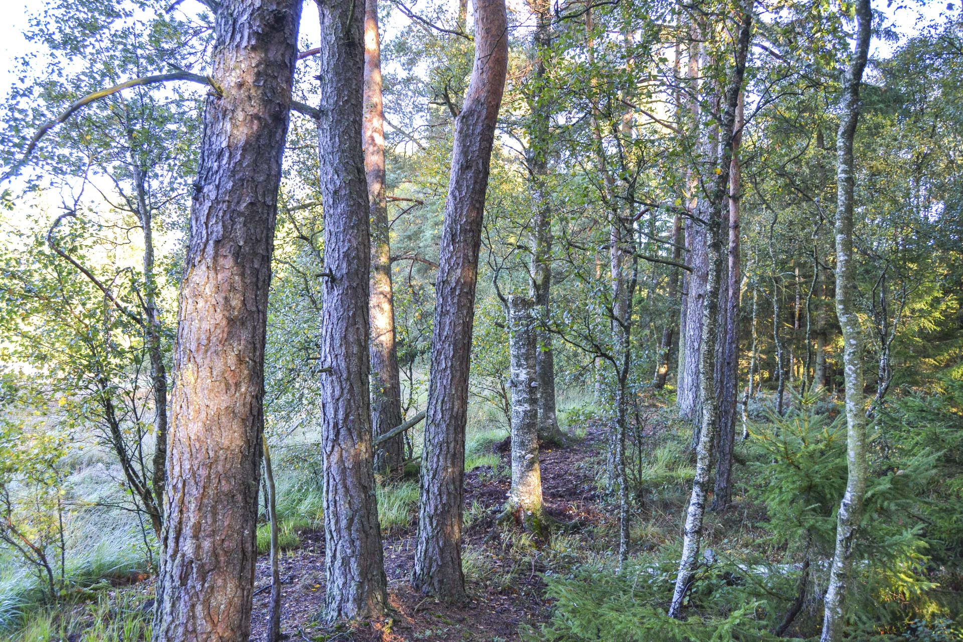 DSC_0474_edited