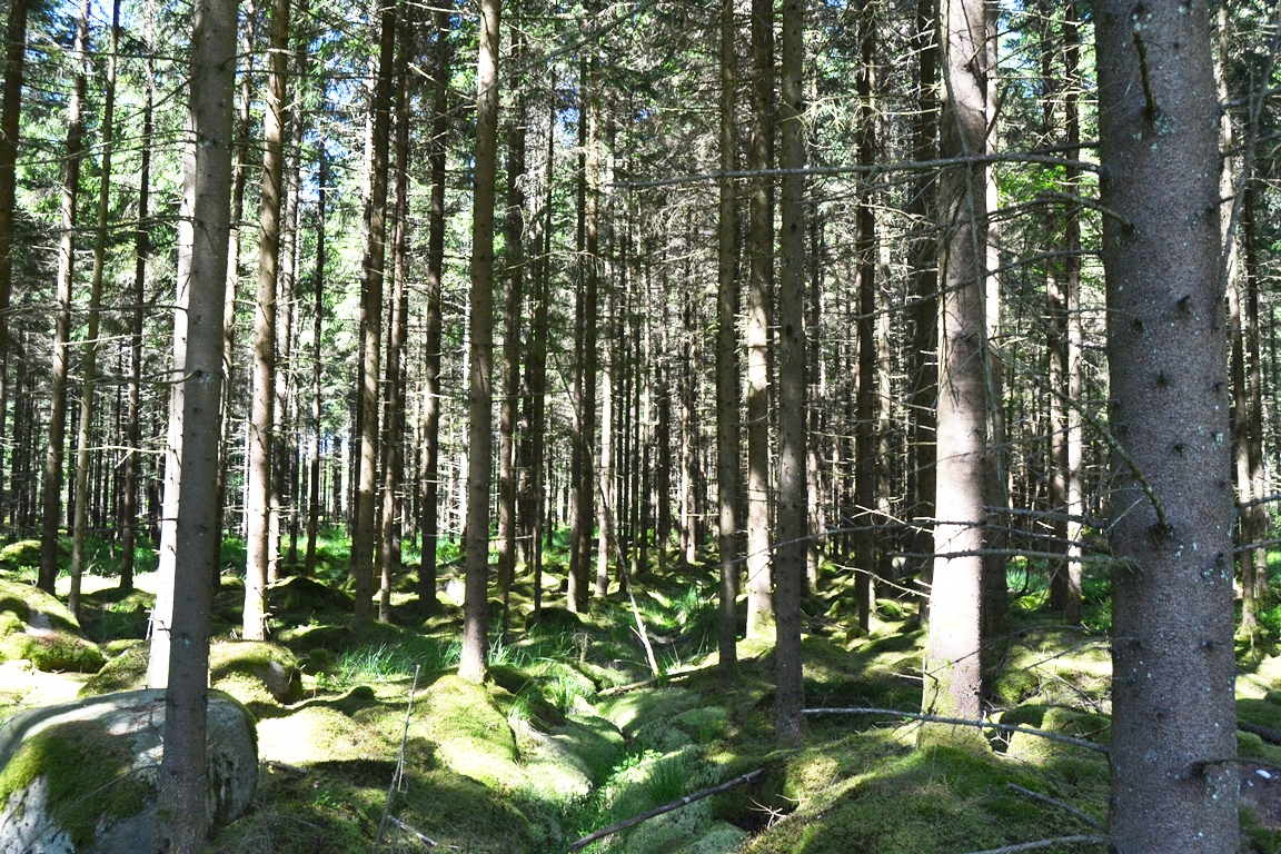 a DSC_0129
