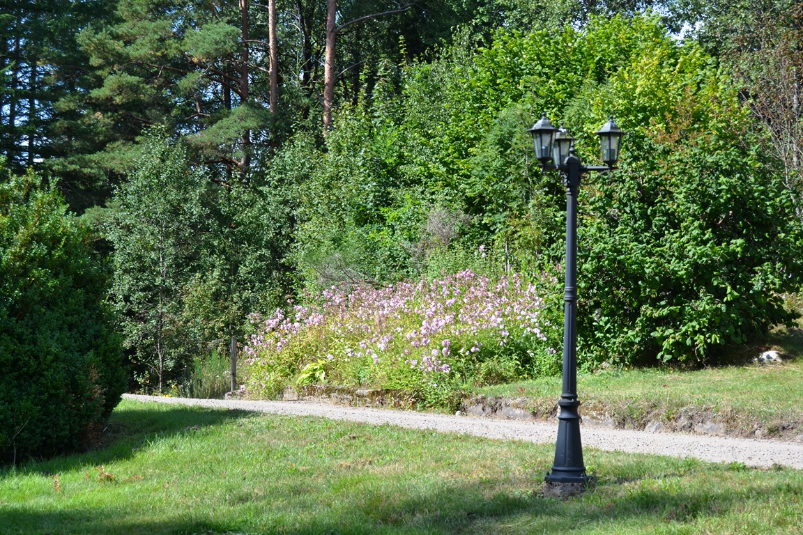 a DSC_0211