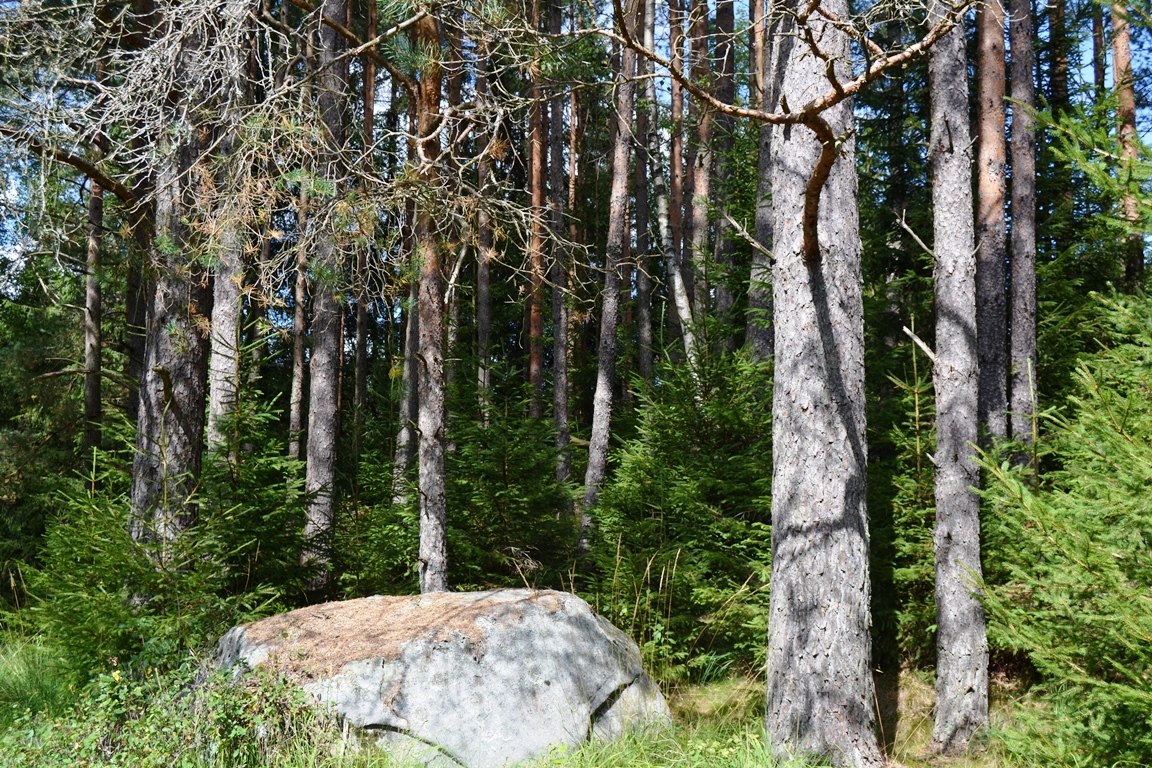 a DSC_0283