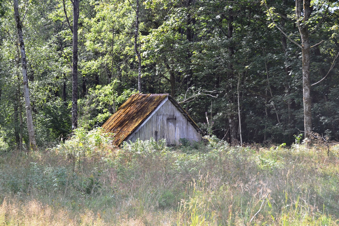 a DSC_0348
