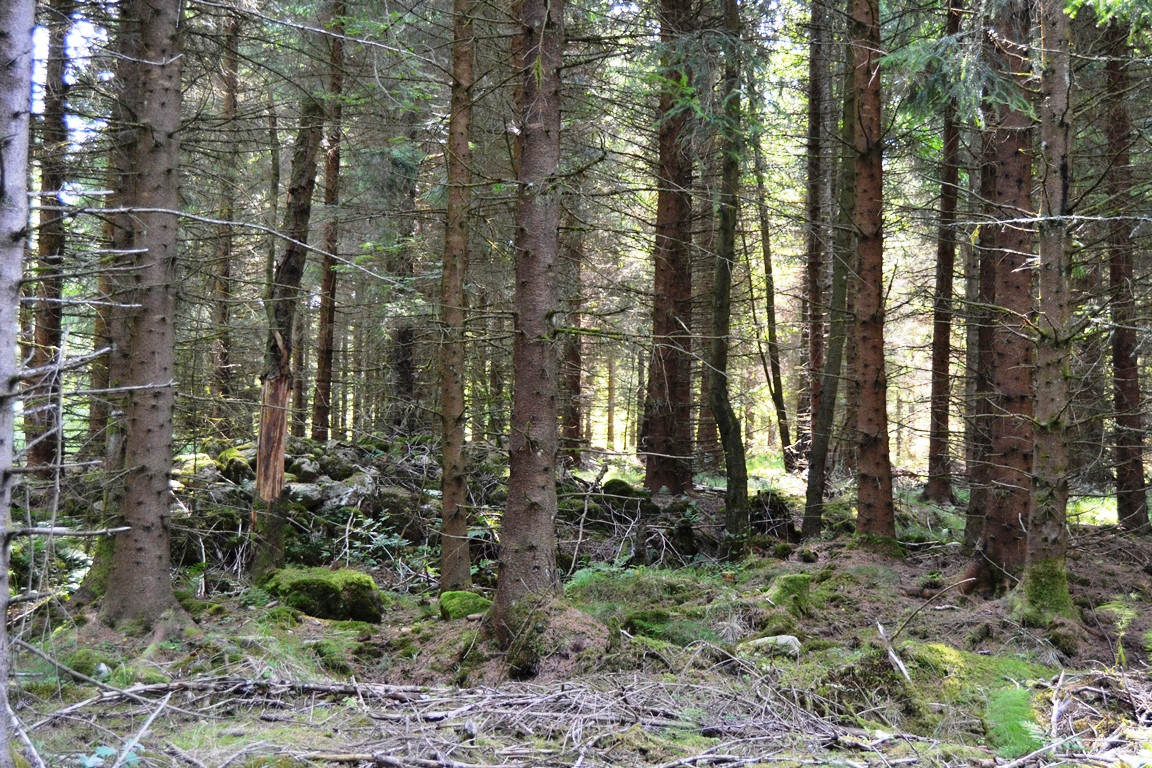 a DSC_0451